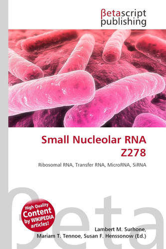 Small nucleolar rna z278 - small,